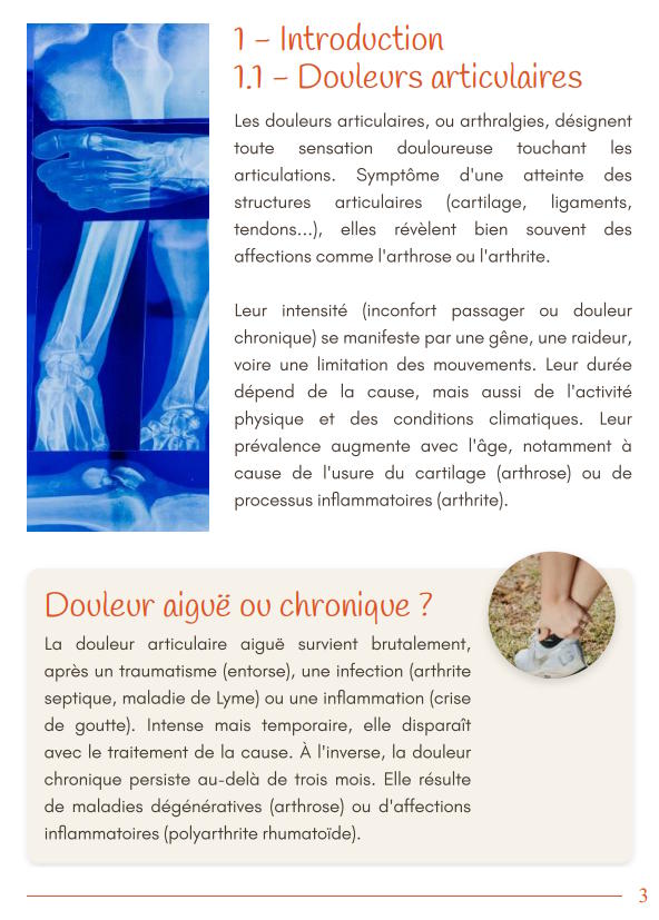Protocole anti-douleur pour les articulations